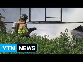 고양 비닐하우스 한 동 화재 / YTN (Yes! Top News)