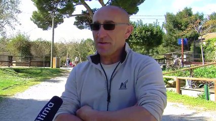 Explication de la tonte par le berger Patrick Servais