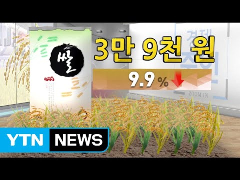 [쏙쏙] 쌀 재배 농가 풍작에도 '울상' / YTN (Yes! Top News)