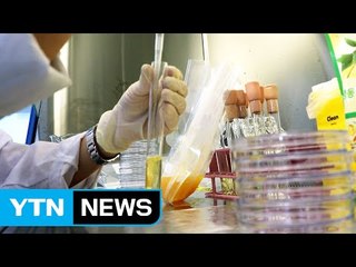 수입 냉동 과일에서 허용치 5배 대장균군 검출 / YTN (Yes! Top News)