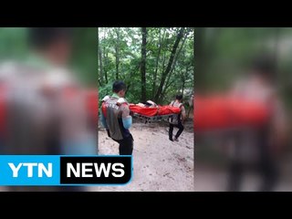 북한산 연락 두절 60대 등산객 구조 / YTN (Yes! Top News)