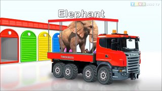 Animal Transporter for Kids COMPILATION | Learn Colors and Animals for Children