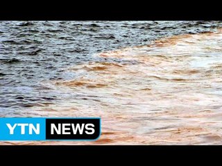 남해안 올해 첫 적조주의보...불청객 '적조' 피해를 막아라 / YTN (Yes! Top News)