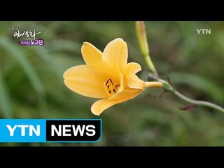 지리산 노고단 / YTN (Yes! Top News)