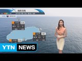 [내일의 바다날씨] 8월 23일 서해 제외하고 대부분 해상 높은 파고 바다낚시 지수 나쁨 / YTN (Yes! Top News)