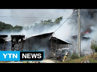 양계장서 불...닭 5만5천여 마리 폐사 / YTN (Yes! Top News)