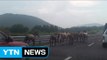 [영상] 제주도 도로에서 벌어진 '말들의 행진' / YTN (Yes! Top News)