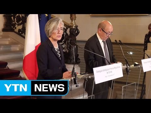 한불 외교장관 강한 대북 제재로 대화 유도 / YTN