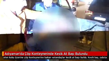 Adıyaman'da Çöp Konteynerinde Kesik At Başı Bulundu