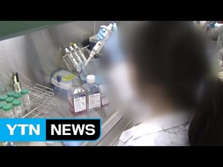 국책연구기관 KAIST, 비정규직 '편법 채용' 만연 / YTN