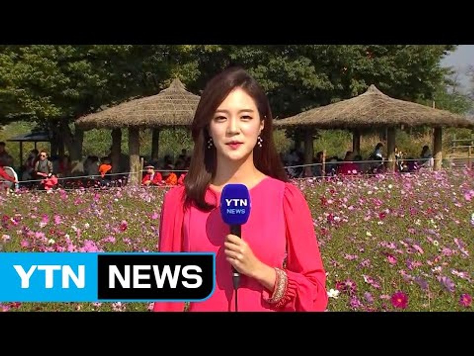 [날씨] 오늘 쾌청한 가을 하늘...낮 동안 포근 / YTN