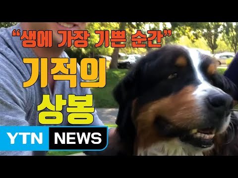 [자막뉴스] 죽은 줄 알았는데...기적의 상봉 / YTN