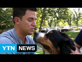 [이브닝] 美 산불 일주일째...희망 준 '생환 반려견' / YTN