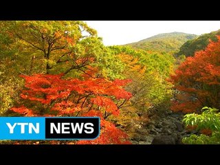 맑고 선선한 주말...단풍 남하 빨라진다 / YTN