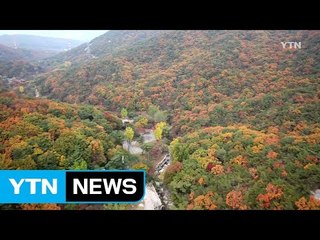 [날씨] 맑고 선선한 주말...내륙 곳곳 첫 단풍 / YTN
