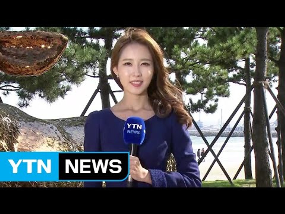 [날씨] 스틸 아트 축제 마지막 날...전국 맑고 일교차 커 / YTN