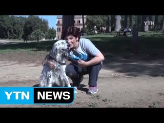 강아지를 위한 휴가, '유급' 인정받을 수 있나요? / YTN