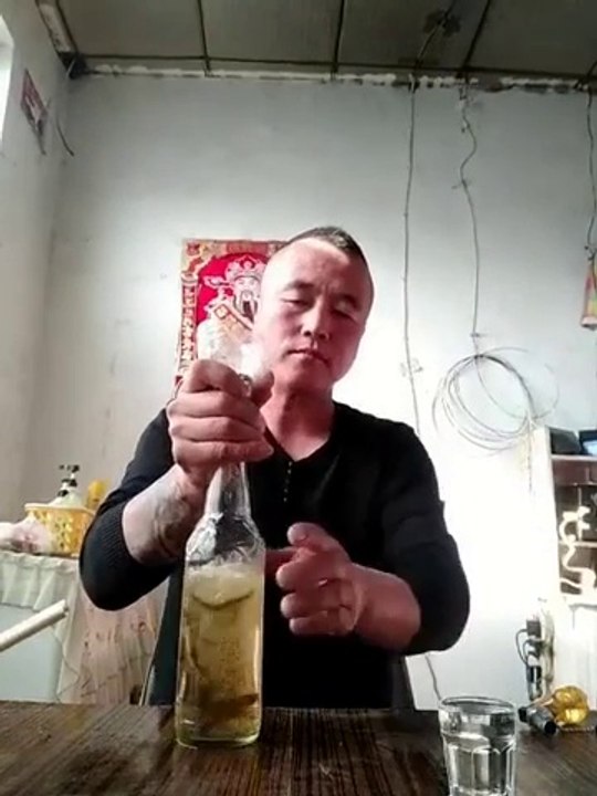 Il boit 1 bouteille entière de bière avec des poissons vivants à l'intérieur !!