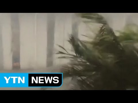 남아공에 태풍 강타...최소 8명 사망 / YTN