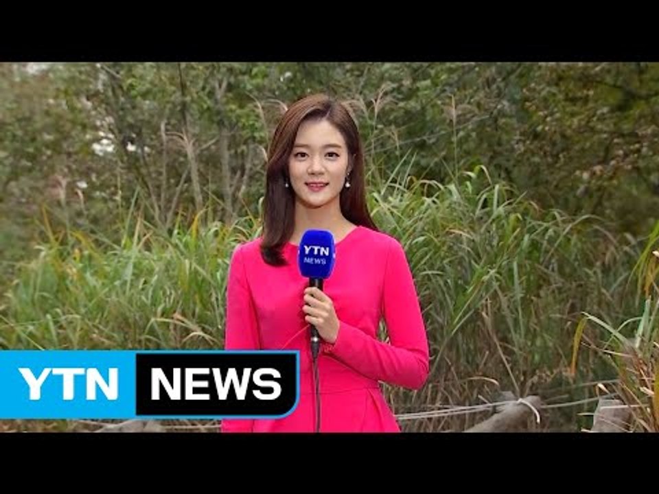 [날씨] 곳곳 차가운 가을비...찬 바람 불며 가을 추위 / YTN