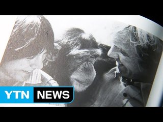 [신간] 유전자 일치 98.4%, 인간-침팬지의 대화 / YTN