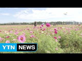 "가는 연휴 아쉬워" 가을 나들이로 재충전 / YTN