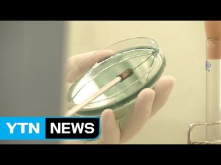 콜레라 확진자 가족 '음성'...의료진으로 검사 확대 / YTN (Yes! Top News)