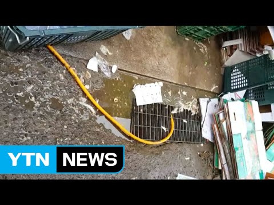위생 불량에 담합까지...식판 가득 '납품 비리' / YTN (Yes! Top News)