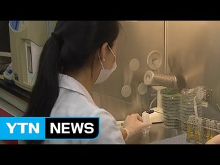 15년 만에 번진 '콜레라 주의보'...콜레라균, 어디서 왔나? / YTN (Yes! Top News)