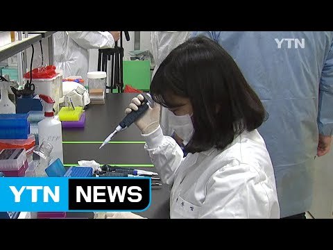 국내 콜레라 환자 15년 만에 처음 발생...긴급 역학조사 / YTN (Yes! Top News)