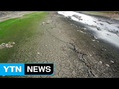 기록적인 폭염에 이제 기대할 것은 '효자 태풍'뿐 / YTN (Yes! Top News)