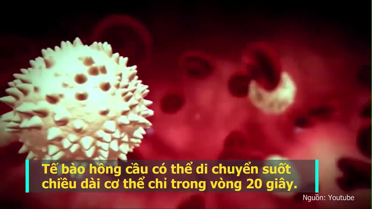 “Đứng hình” trước khả năng đáng kinh ngạc của cơ thể