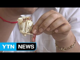 수온 높아져 콜레라균 번식 가능성 커졌다 / YTN (Yes! Top News)