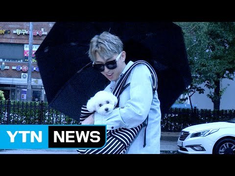 [★영상] 슬리피, 반려견 퓨리와 함께… 미용했어요 (뮤직뱅크 출근길) / YTN (Yes! Top News)