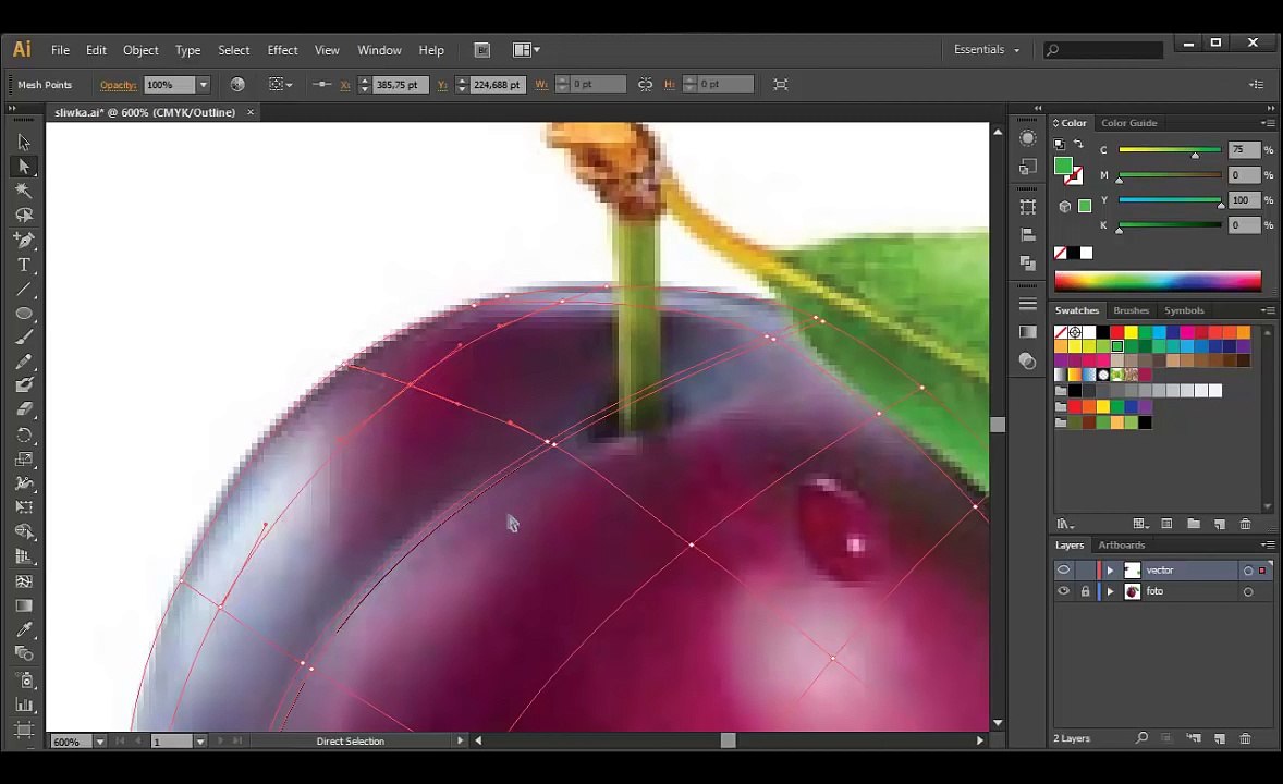 Adobe Illustrator - Tutorial 20 - Mesh Tool
