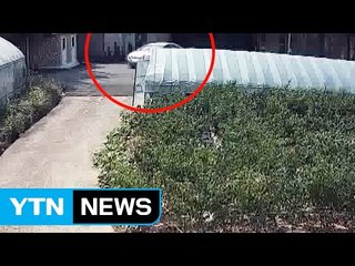 시골 장날 시장 간 사이 빈집에서 도둑질 / YTN (Yes! Top News)