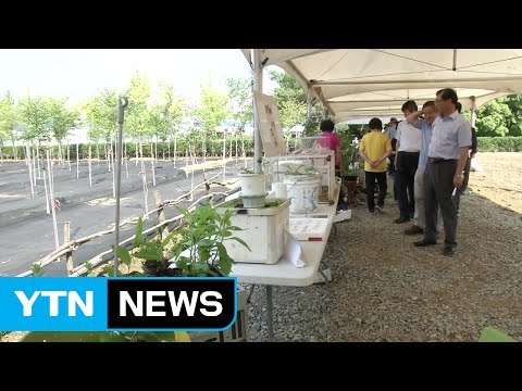 [대구] 다음 달 1일 대구도시농업박람회 개최 / YTN (Yes! Top News)