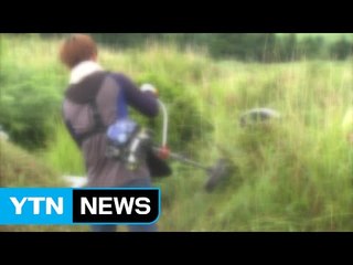 제주서 벌초 중 5명 다쳐 병원행 / YTN (Yes! Top News)