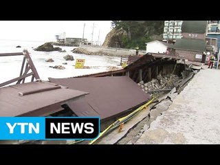 '최고 6m 파도' 동해안 폭풍해일주의보...오후 최대 고비 / YTN (Yes! Top News)