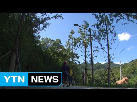 어느새 가을 '성큼'...산으로 강으로 나들이객 북적 / YTN (Yes! Top News)