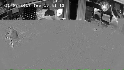 Tentative de vol à l'arraché d'un ordinateur dans un restaurant à Londres