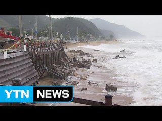 동해안 이틀째 폭풍해일주의보...오늘 낮 최대 고비 / YTN (Yes! Top News)