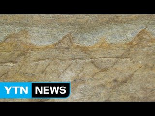 지구에서 가장 오래된 37억 년 전 화석 발견 / YTN (Yes! Top News)