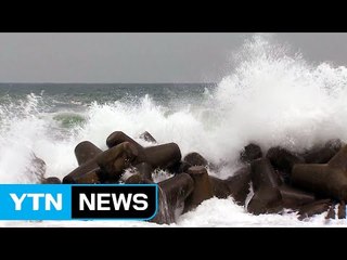 강원 동해안 폭풍해일주의보...파도 피해 잇따라 / YTN (Yes! Top News)