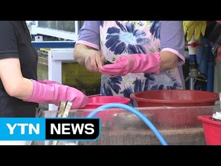 콜레라 확진 환자 3명의 공통점 '거제도·수산물' / YTN (Yes! Top News)