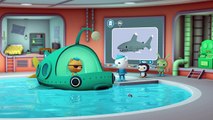 Octonauts | Slime Season! | 20 Minutes! | Even More Slimy Fish! | Compilation | Kids Cartoons