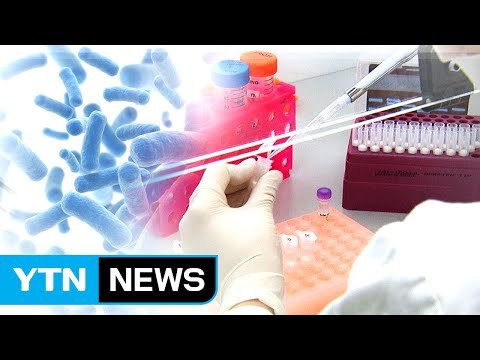 부산에서 콜레라 환자 발생...필리핀 다녀온 47세 남성 / YTN (Yes! Top News)