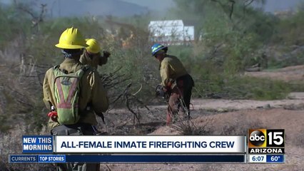 Meet Arizona's all-woman inmate firefighting crew