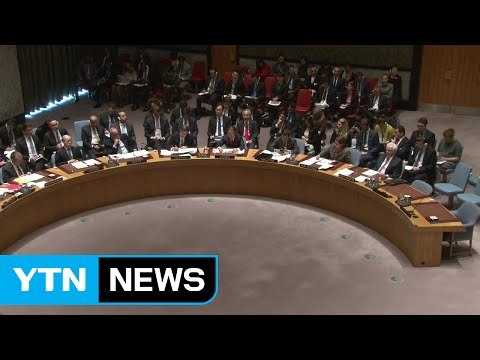 정부 대북제재 결의안 통해 상당한 가시적 성과 / YTN (Yes! Top News)