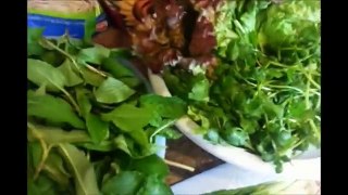 How to make Vietnamese Roasted Catfish recipe- CA NUONG DA DON